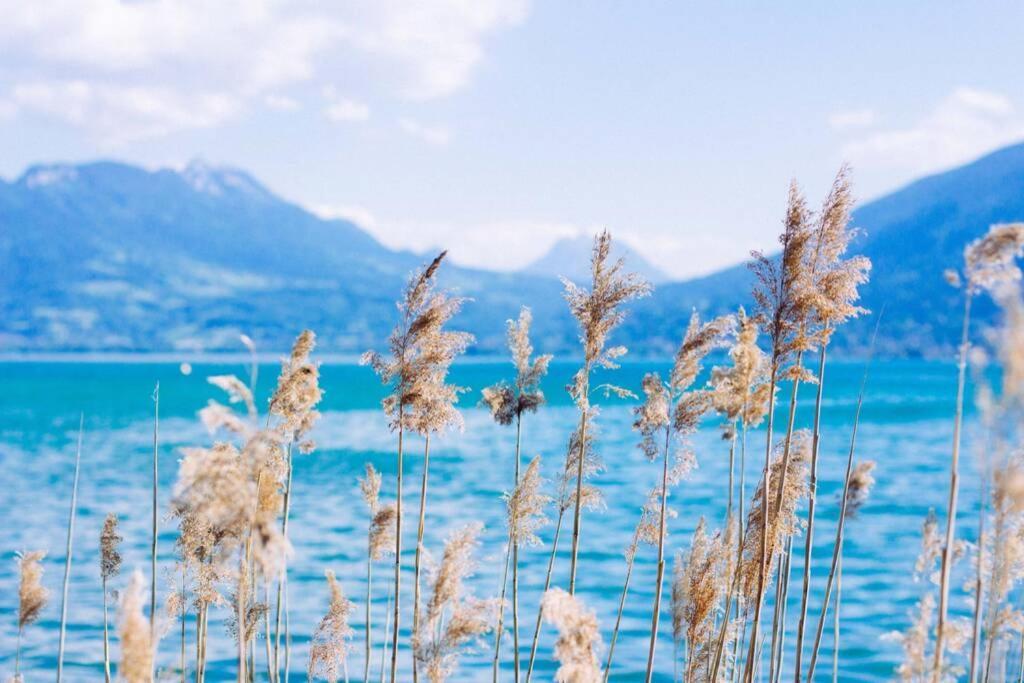 Le Boheme Beau T2 Vue Lac & Montagnes + Garage 안시 외부 사진