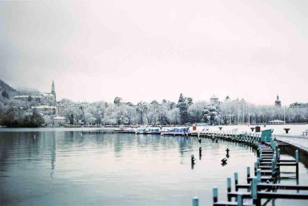 Le Boheme Beau T2 Vue Lac & Montagnes + Garage 안시 외부 사진