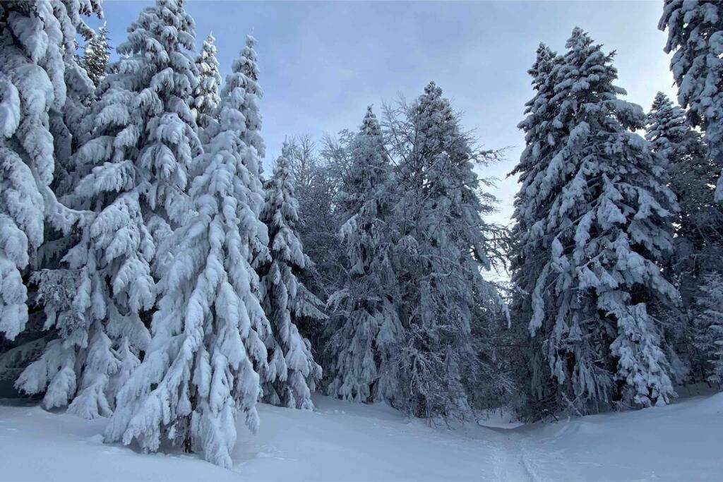 Le Boheme Beau T2 Vue Lac & Montagnes + Garage 안시 외부 사진
